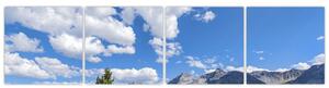 Fotka hôr - obraz (Obraz 160x40cm)