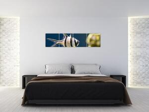 Ryba - obraz (Obraz 160x40cm)