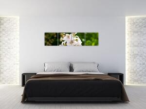 Kvetina - obraz (Obraz 160x40cm)