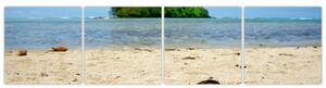 Pláž - obraz (Obraz 160x40cm)