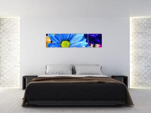 Modrá chryzantéma - obrazy (Obraz 160x40cm)