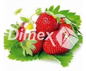 DIMEX | Obraz na skle | Jahody GL-30-007 | 30 x 30 cm