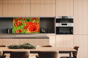 DIMEX | Dibond doska za kuchynskú linku | DBW-10060-028 Červené vlčie maky | 100 x 60 cm