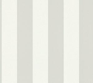 A.S. Création | Vliesová tapeta na stenu Trendwall 2 38101-2 | 0,53 x 10,05 m | biela, krémová, šedá