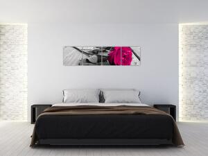 Ruže fialová - obraz (Obraz 160x40cm)