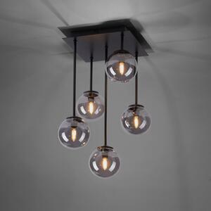 Paul Neuhaus Widow stropné LED svietidlo, 5-pl