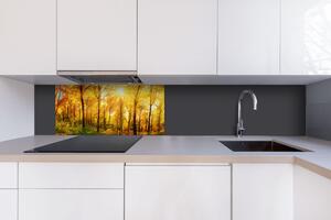 DIMEX | Dibond doska za kuchynskú linku | DBW-08040-084 Slnečný les| 80 x 40 cm