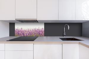 DIMEX | Dibond doska za kuchynskú linku | DBW-08040-125 Levanduľové pole| 80 x 40 cm