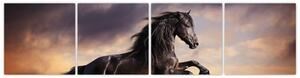 Kôň - obraz (Obraz 160x40cm)