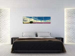 Levanduľové polia - obraz (Obraz 160x40cm)