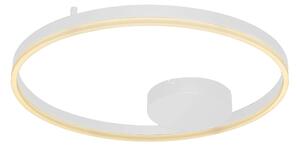 Moderné stropné svietidlo Halo 60 biele
