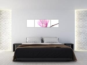 Kvet - obraz (Obraz 160x40cm)