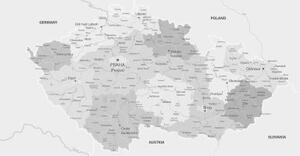 Obraz elegantná šedá mapa Česka - 100x50
