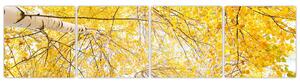 Jesenné lístie - moderný obraz (Obraz 160x40cm)