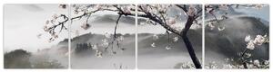 Sakura - obraz (Obraz 160x40cm)