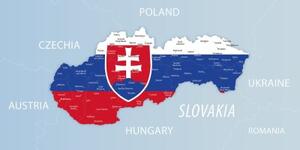Obraz mapa Slovenska so štátnym znakom a okolitými štátmi - 100x50