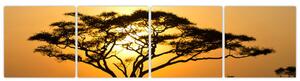 Fotka stromu - obraz (Obraz 160x40cm)