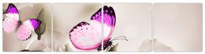 Motýľ na kvetine - obraz (Obraz 160x40cm)