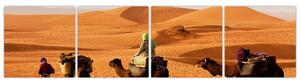 Ťavy v púšti - obraz (Obraz 160x40cm)