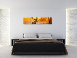 Jelen - obraz (Obraz 160x40cm)