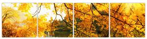 Jesenná krajina - obraz (Obraz 160x40cm)