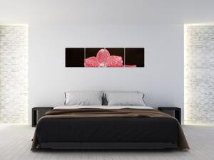 Ružová orchidea - obraz (Obraz 160x40cm)