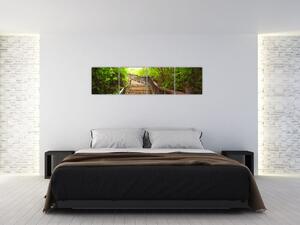 Schody v lese - obraz (Obraz 160x40cm)
