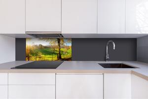 DIMEX | Dibond doska za kuchynskú linku | DBW-08040-083 Lúka | 80 x 40 cm