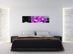 Obraz orchideí (Obraz 160x40cm)