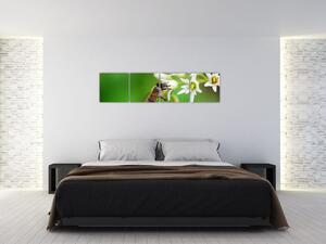 Fotka včely - obraz (Obraz 160x40cm)