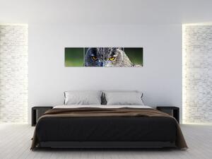 Sova - obraz (Obraz 160x40cm)