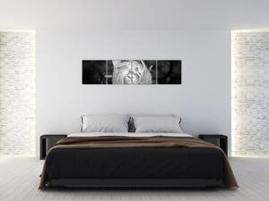 Obraz čiernobiele ruže (Obraz 160x40cm)
