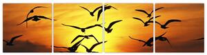 Obraz letiacich vtákov (Obraz 160x40cm)