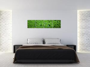 Detail trávy - obraz (Obraz 160x40cm)
