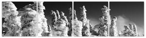 Obraz - zimné hory (Obraz 160x40cm)
