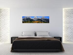 Panorama krajiny - obraz (Obraz 160x40cm)