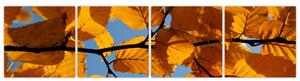 Jesenné lístie - obraz (Obraz 160x40cm)