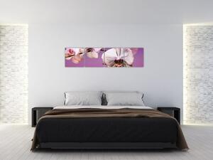 Moderné obrazy - orchidea (Obraz 160x40cm)