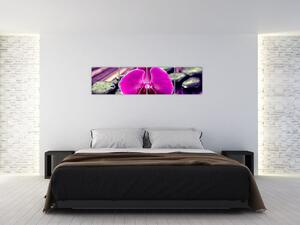 Obraz orchidey (Obraz 160x40cm)