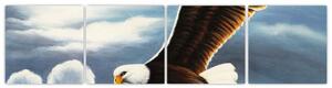 Obraz letiaceho orla (Obraz 160x40cm)
