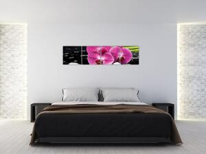 Fotka orchidey (Obraz 160x40cm)