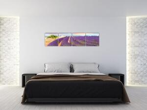Levanduľové polia - obraz (Obraz 160x40cm)