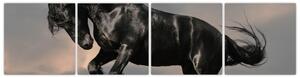 Čierny kôň, obraz (Obraz 160x40cm)