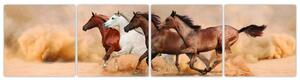 Obraz kôň (Obraz 160x40cm)