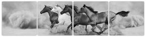 Obraz cválajúci koňov (Obraz 160x40cm)