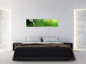Relaxačný obraz na stenu (Obraz 160x40cm)