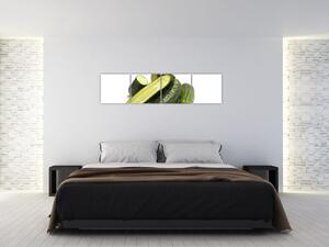 Kyslé uhorky - obraz (Obraz 160x40cm)