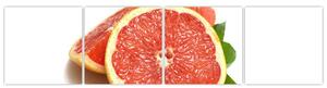 Grapefruit - obraz (Obraz 160x40cm)