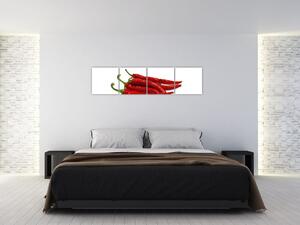 Chilli papričky, obrazy (Obraz 160x40cm)