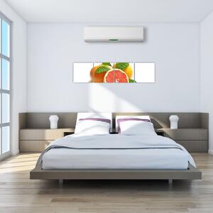 Grapefruit, obraz (Obraz 160x40cm)
